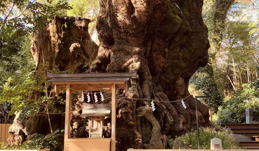 ⛩️ 기노미야 신사 이미지 3